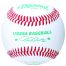 Diamond DOL-1 USSA Official League Leather Baseball